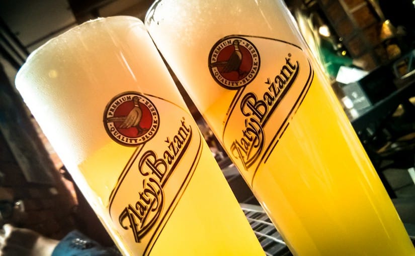 Новый сорт Zlatý Bažant в Беларуси — Пшеничное