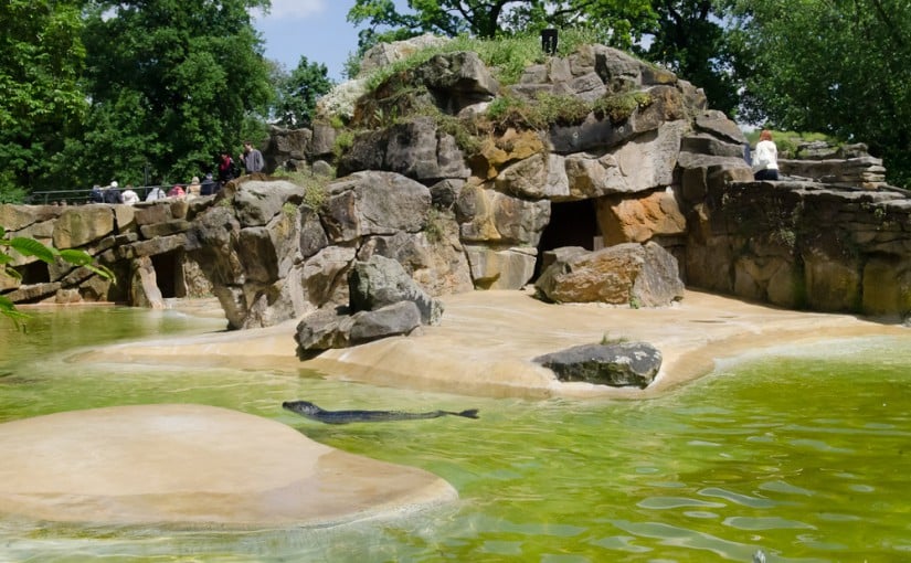 Один день в Берлинском зоопарке