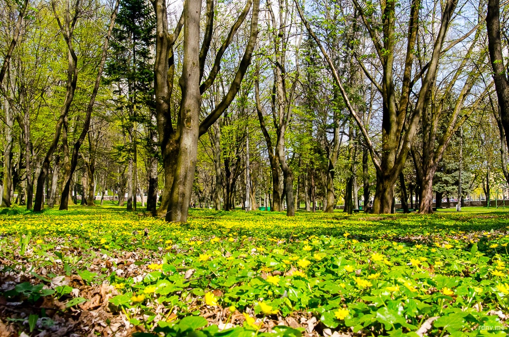Весна в Минске