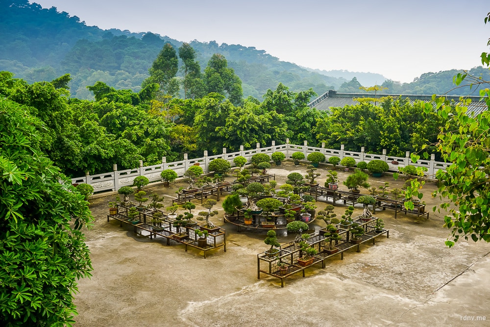 Сад пэньцзин у храма Наньхай Гуаньинь на горе Сицзяо