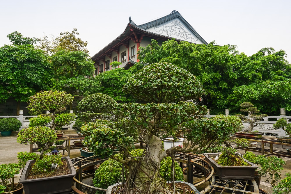 Сад пэньцзин у храма Наньхай Гуаньинь на горе Сицзяо